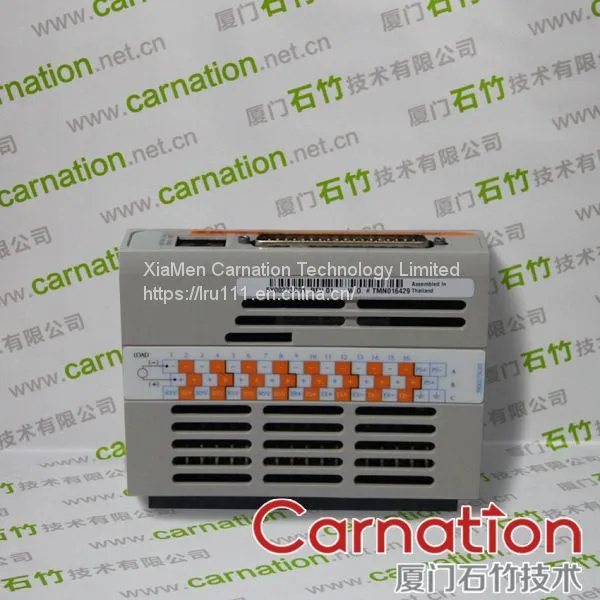 1C31116G04 PMOD ASSY, ANALOG INPUT (VOLTAGE W/ TEMP SENSOR) 8CH Emerson  Ovation