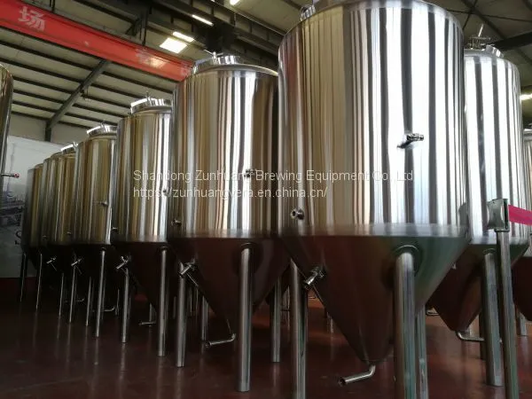 Hot Sale 500L 800L 1000L Bright Beer Beer Brewing Tank BBT Tanks for Micro Brewery, Bar, Taproom photo-4