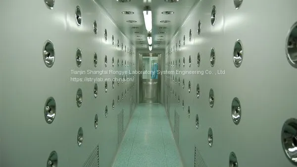 Cleanroom Air Showers/Fume Hoods/ Laboratory/Lab Furniture/ventilation/Pass Through Box