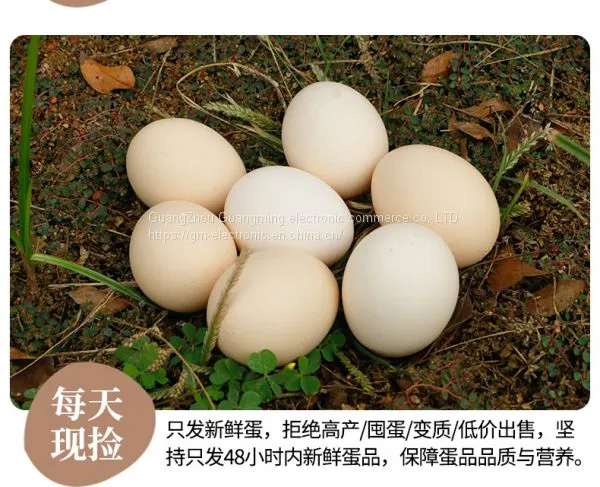 Cong Ming Eggs photo-3