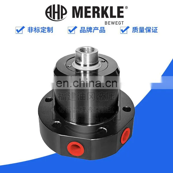 German Cylinder AHP-MERKLE Guide Rod Cylinder BSEP250.20/12.02.4.201.100B photo-3
