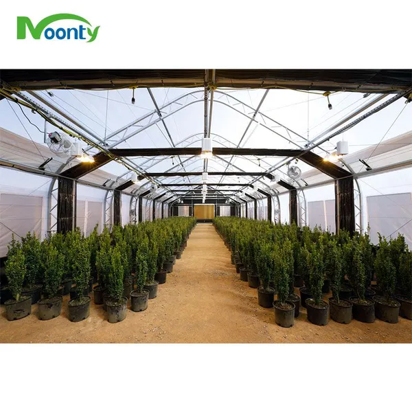 Light Deprivation Blackout Tunnel Greenhouse for Canada USA Medical Plants photo-2