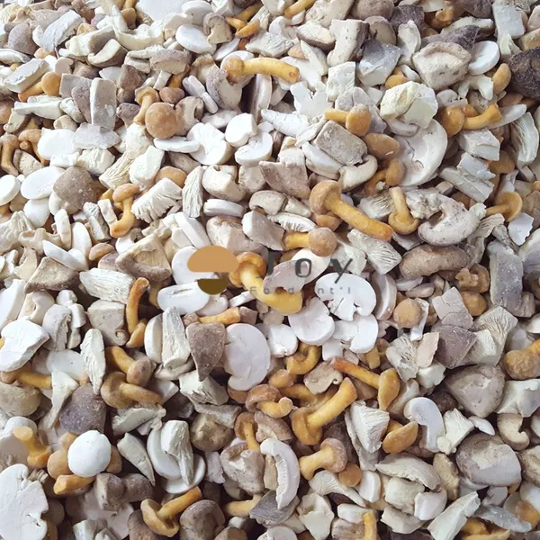IQF Frozen Mixed Mushroom Cocktail