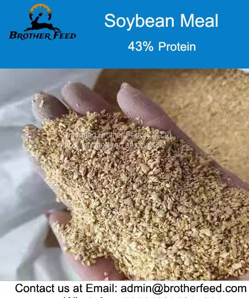 Soybean Meal Animal Feed for Sale