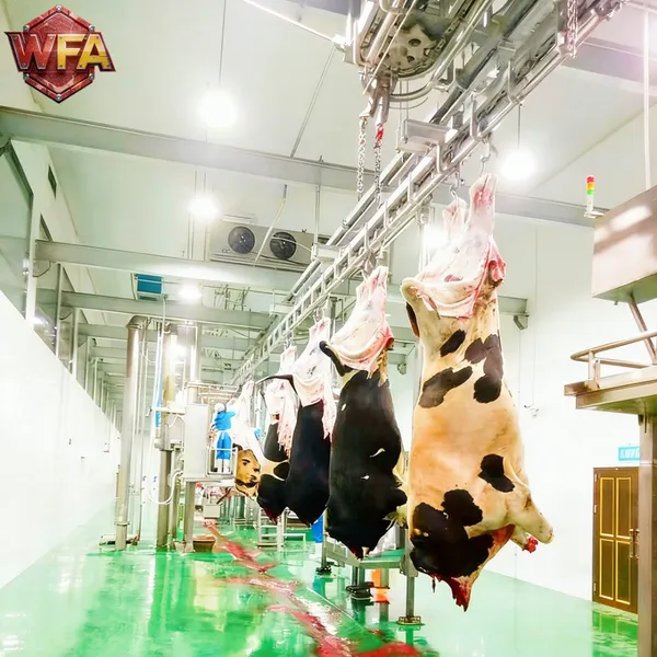 Small Cattle Abattoir Setup 50 Head Per Day Commercial Beef Processing Plant Evisceration Line Slaughter Equipment Price List photo-2