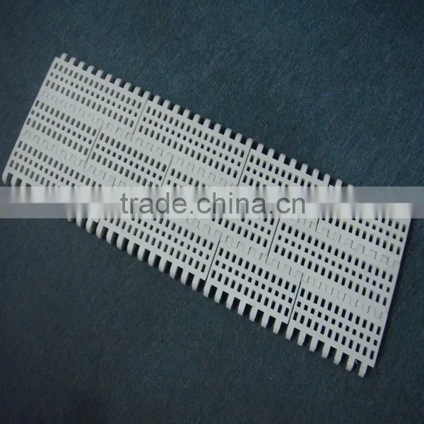 Engineering Standard Plastic Pa6 Conveyor Belt Pom Conveyor Chain photo-4