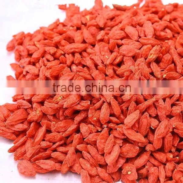 Super Fruit Gojiberry With Low Price