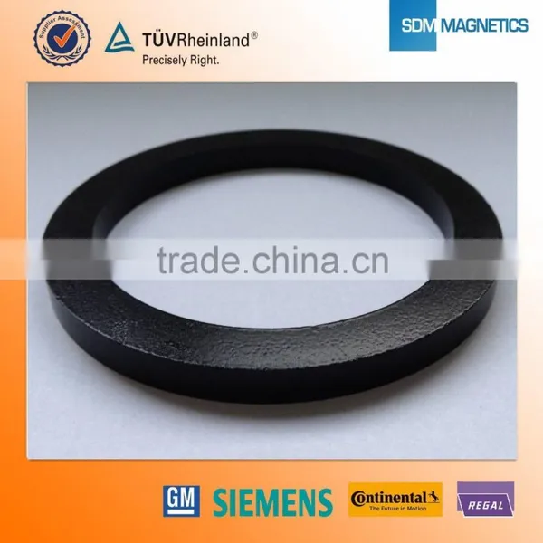 Super Strong Circulator Magnet With Screw Hole N50 photo-4