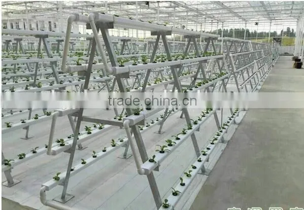 Hydroponics Tower for Vegetable Greenhouse photo-4