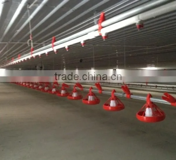 Automatic Environmental Controlled Chicken Farms Construction photo-5