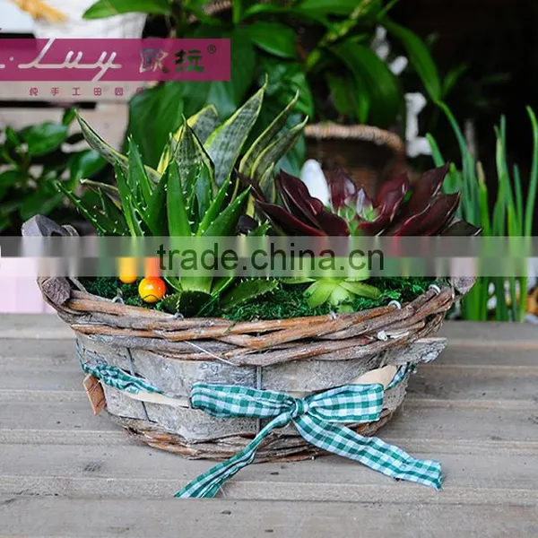 Garden Basket for European Market photo-4