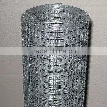 Hot Dipped Galvanized Welded Wire Mesh in Dingzhou