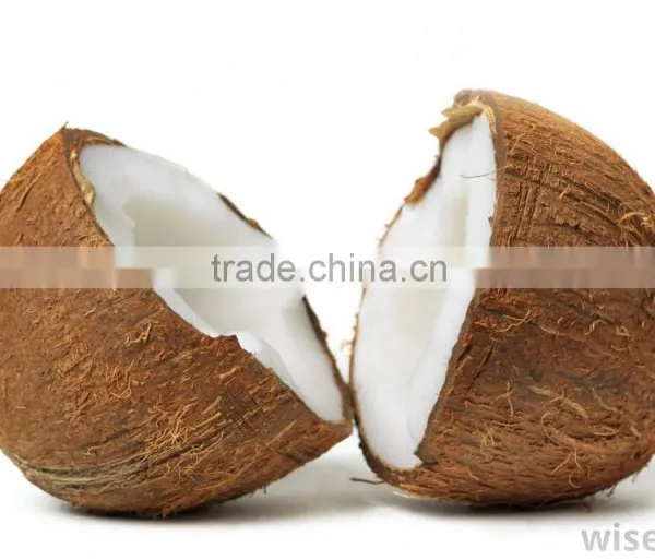 Matured Coconuts photo-6