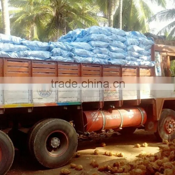 Fresh Coconuts From Kerala photo-5