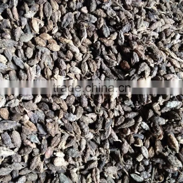 Vietnam Black Cardamom photo-3