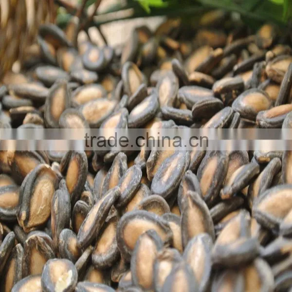 Red & Black Watermelon Seeds for Sale 2015 New Crop photo-2