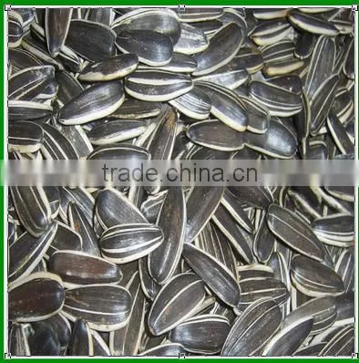 Sale China Black and Cheap Sunflower Seeds For Pet Consumption photo-2