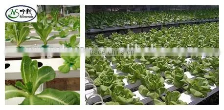 Good Soil Aeration Soil Drainage Mediums Bulk Expansion Perlite photo-3