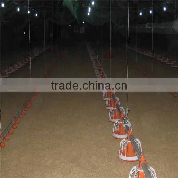 Chicken House Broiler Rearing Equipment photo-4