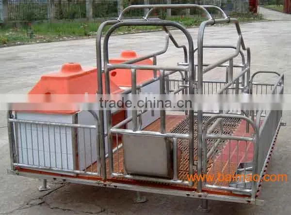 FL Sow Farrowing Crate photo-4