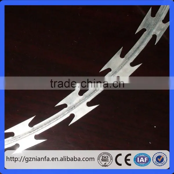 BTO-22 Hot Galvanized Concertina Razor Barbed Wire(Guangzhou Factory) photo-6