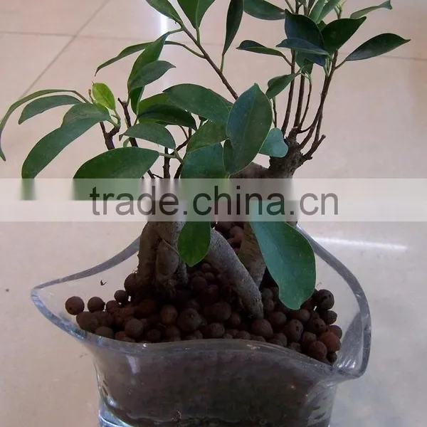 Big Sale LECA Aggregate From China, Lightweight Expanded Clay Aggregate Concrete Expanded Clay photo-5