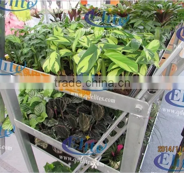 141 Steel for Display Flower Trolley,Steel for Pot Plant Trolley ,Steel for The CC Euro Trolley photo-5