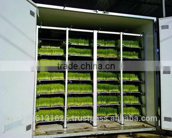 StarMax Barley Fodder / Fodder / Fodder System photo-6