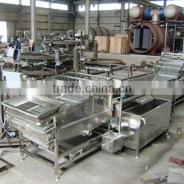 Bubble Fruit and Vegetable Industrial Washing Machine photo-5