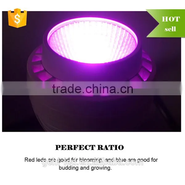 Low Price Aaa Quality High Power Hello Led Growing Light From Shenzhen Factory photo-3