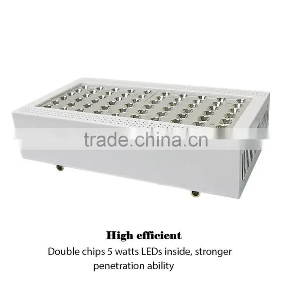 Indoor Plant Supports 300W Full Spectrum Led Grow Light photo-3
