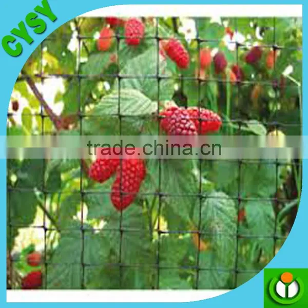 Heavy Duty Long-lasting 100% Virgin pe Quality Plant Support Net, Climbing Plant Net, Cucumber Mesh Netting photo-4