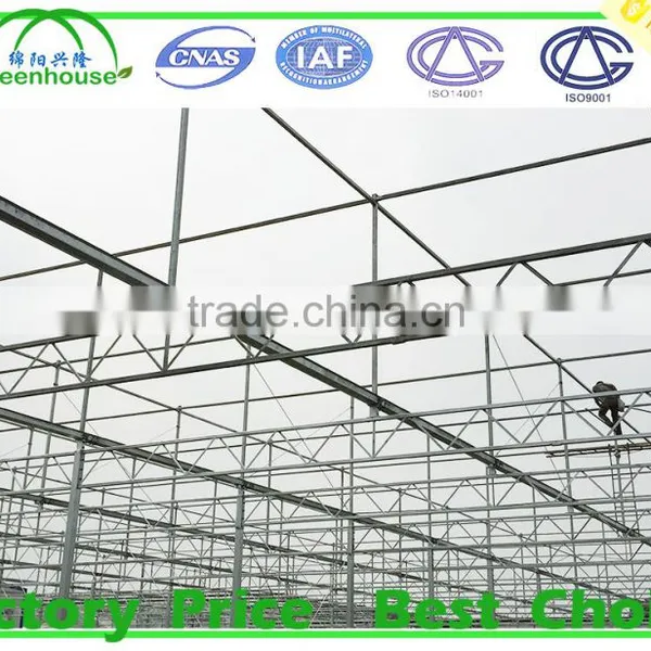 Glass Greenhouse by Gothic Arch Greenhouses photo-4