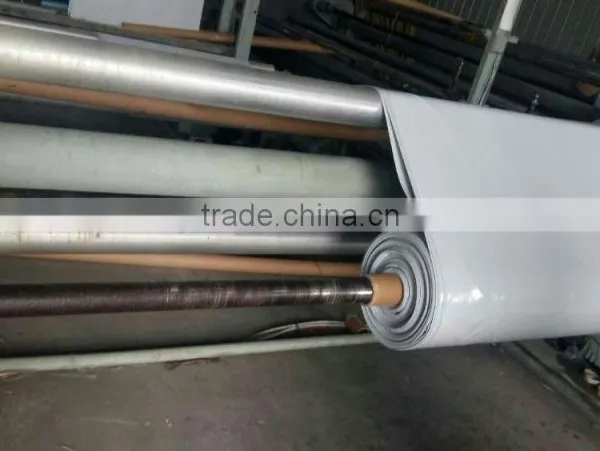 Agriculture Mulch Films ,perforated Mulch Film (with 2 or 4 Holes) photo-4