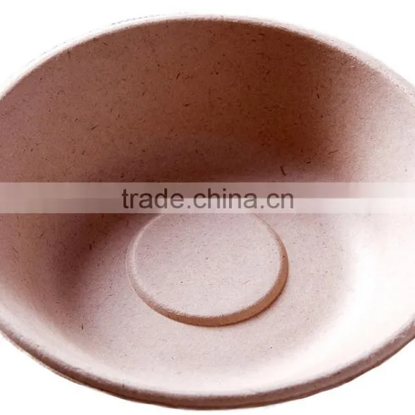 6inch Eco-friendly Japan Sugarcane Shallow Bowls 160x37 L010 photo-5