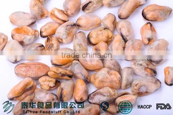 Frozen Blue Mussel Meat in Shellfish Scientific Name photo-2