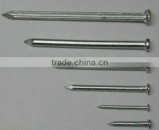 Galvanized Concrete Nails Factory photo-3