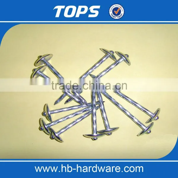Different Types of Umbrella Roofing Nails With Good Price photo-3