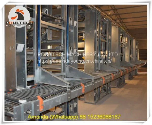Haiti Poultry Farm Equipment & Chicken Farm Battery Chicken Cage & Layer Cage & Chicken Coop & Hen Coop & Laying Hen Cage in Chicken House photo-2