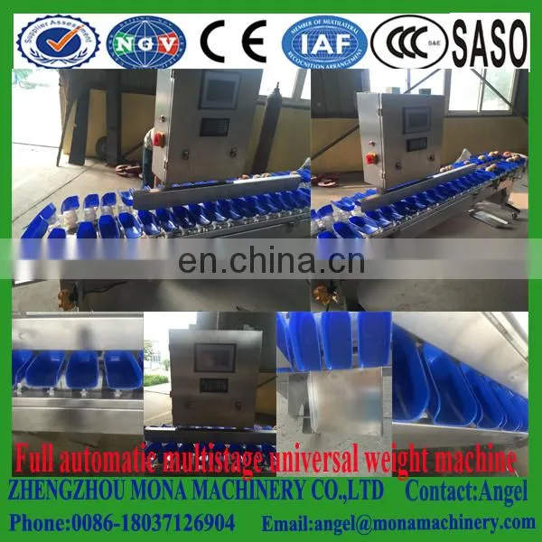 Mango Sorting Machine/vegetable Fruit Weight Sorting Machine photo-5