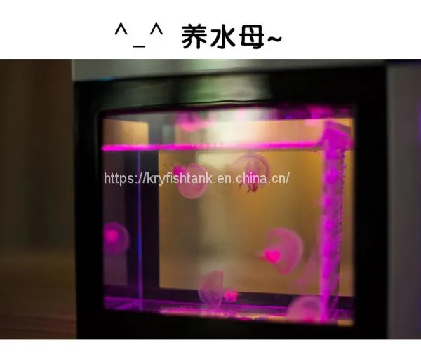 Stackable cylinder on fish tank. Pile up one by one multifarious DIY aquarium
