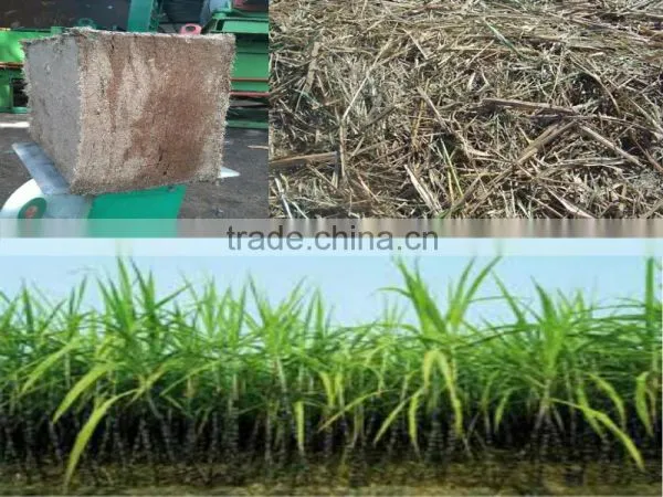 UNFERMENTED BAGASSE FOR ANIMAL FEED