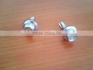 Self Tapping Screw Self Drilling Screw photo-4