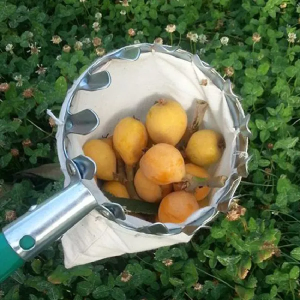 Factory Outlet Harvest Tool Steel Fruit Picking Harvester Metal Garden Tools Picker Head Basket Telescopic Manual Fruit Picker