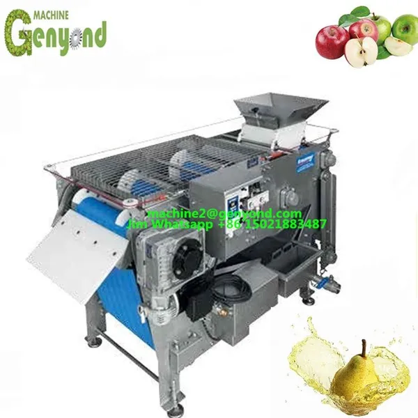 Beverage Fresh Fruit Juice Processing Plant Line Production Line photo-5