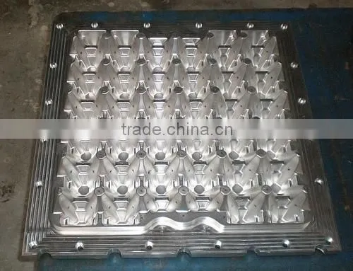 LSF208 Plastic Egg Box Making Machine photo-6