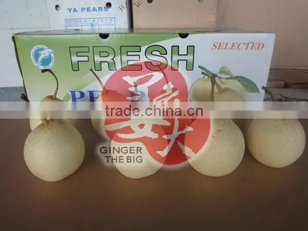 Fresh Pear photo-3
