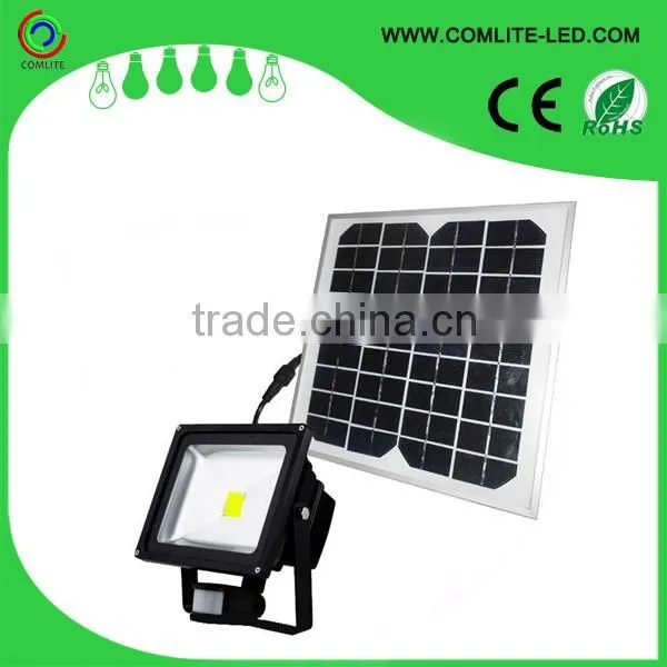 30W Solar Motion Sensor Light
