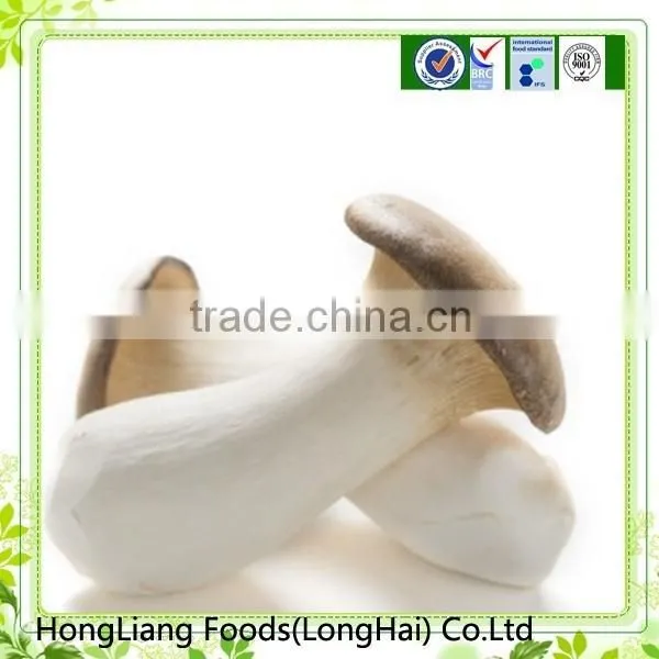 Hot Sale Good Quality Fresh King Oyster Mushroom