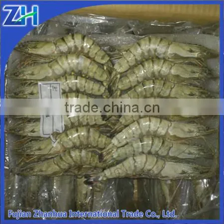 Seafood Shrimp Importer& Exporter- Frozen Black Tiger Shrimp Wholesale Price